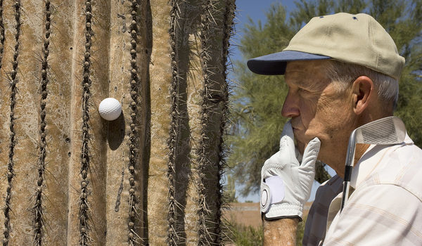 golfball-cactus